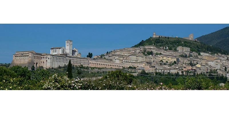 Assisi oth