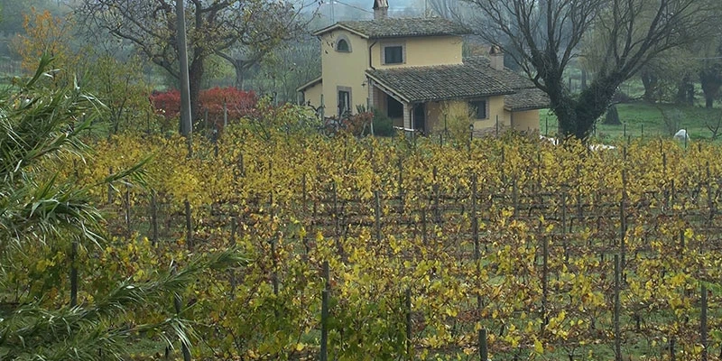 Bevagna 00 11 19 07 still221