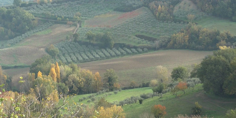 Montefalco umbria video only 00 00 10 14 still204