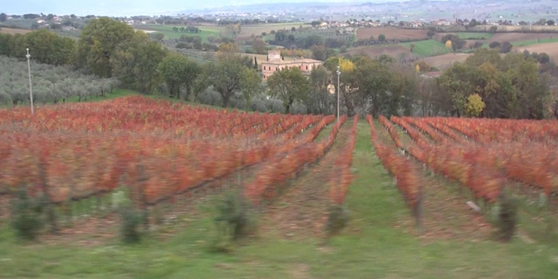 Montefalco umbria video only 00 14 12 28 still326