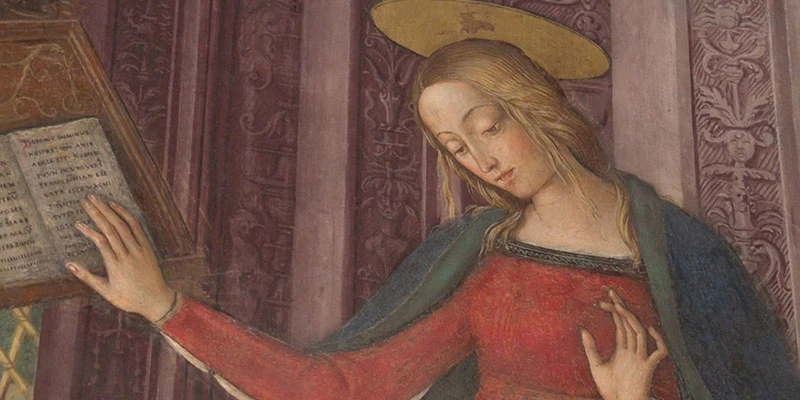 Pinturicchio 00 10 28 13 still005