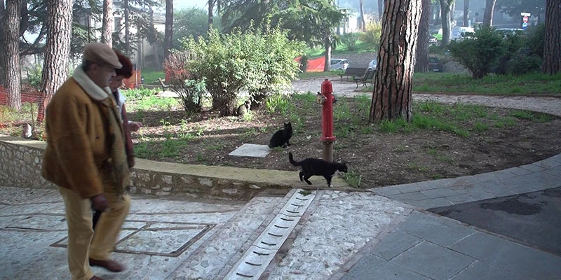 Spoleto upper ff 00 11 32 20 still571