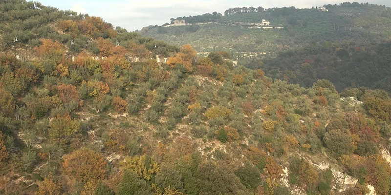 Spoleto monuments ff 00 07 46 03 still288sh