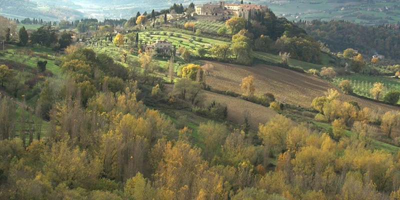 Todi1 00 02 27 18 still039