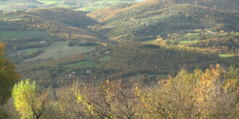 Todi2 00 08 37 29 still179