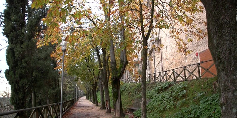 Todi2 00 16 14 23 still295