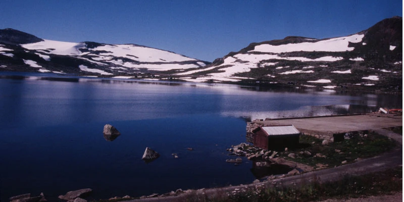 Bergen harbor view