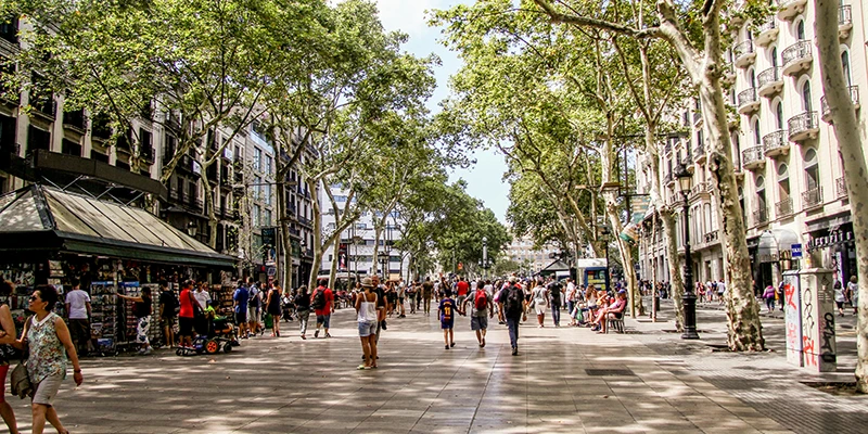 Aerial view of Barcelona's Gothic Quarter with its narrow medieval streets