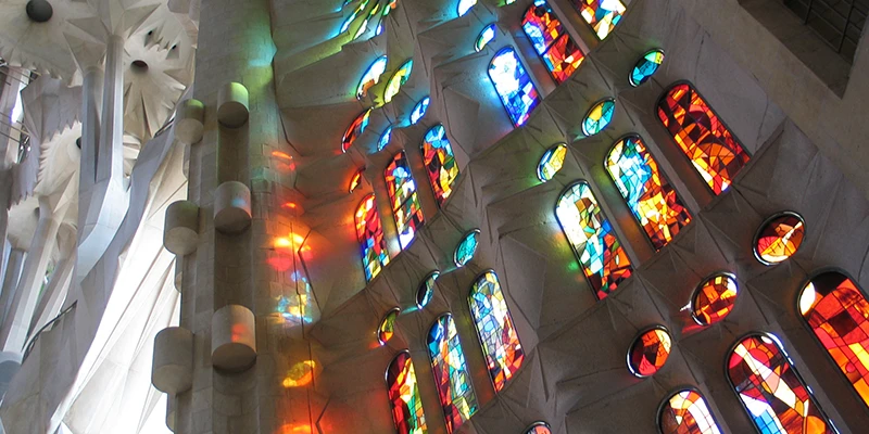 Soaring interior columns of Sagrada Família resembling a forest