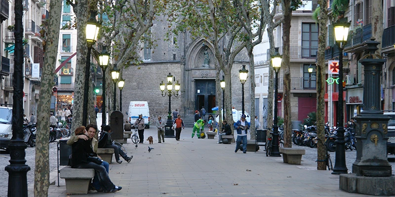 Tree-lined Passeig del Born promenade