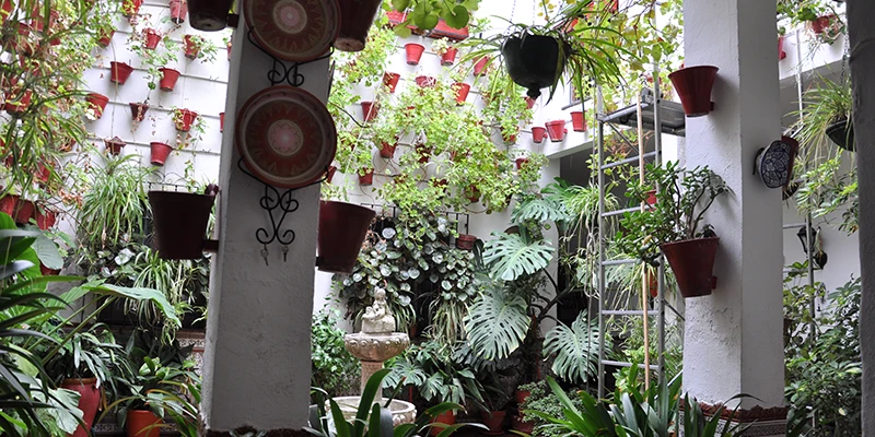 Streets of Cordoba