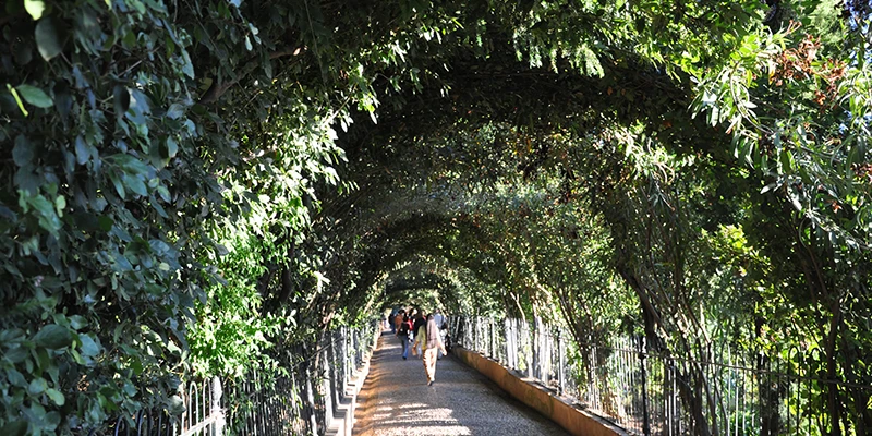 Open-air theater in the cypress grove at the Generalife