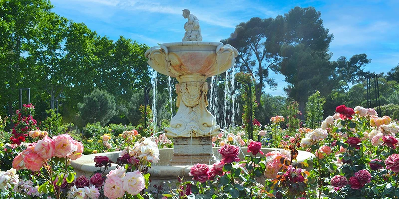 Walk through the prettiest park in town or go to another museum