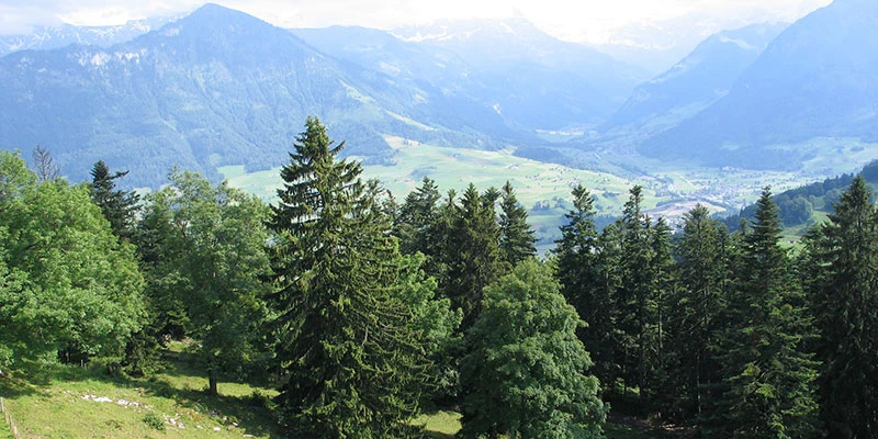 Hammetschwand elevator