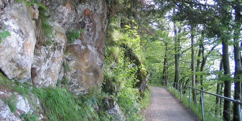 Hiking trail