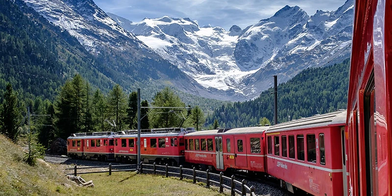 Swiss bernina