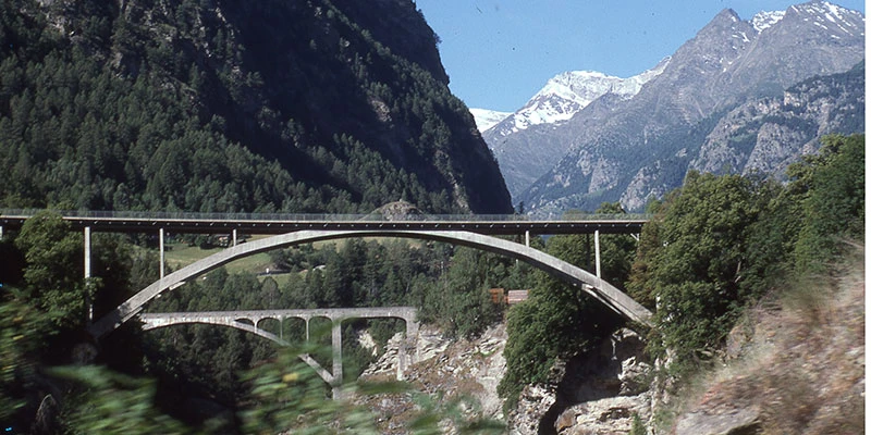 Swiss135