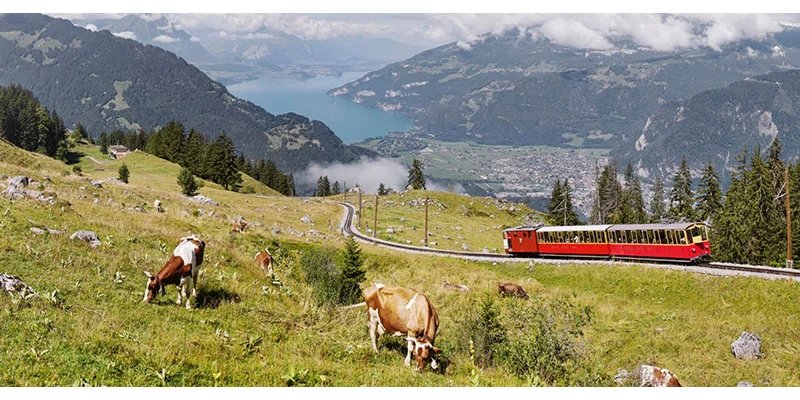 Schynige platte1 ti