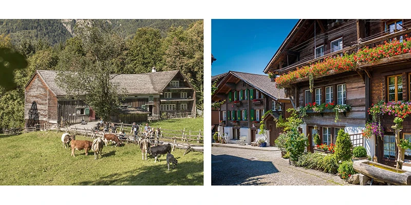 Brienz woodcarving2up ti