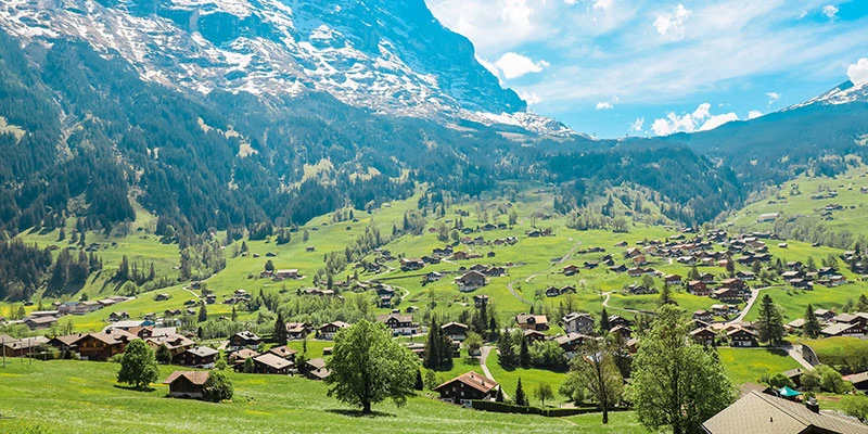 Grindelwald chalets