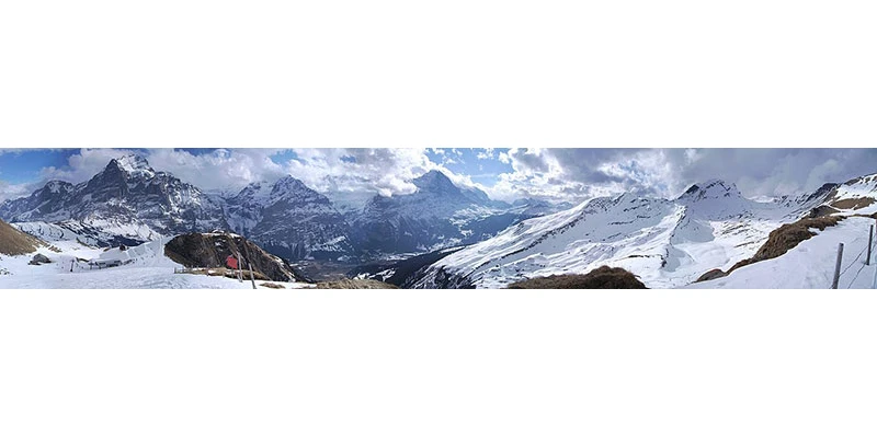Grindelwald from first wiki
