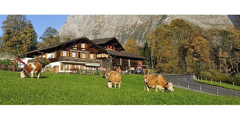 Grindelwald pixabay