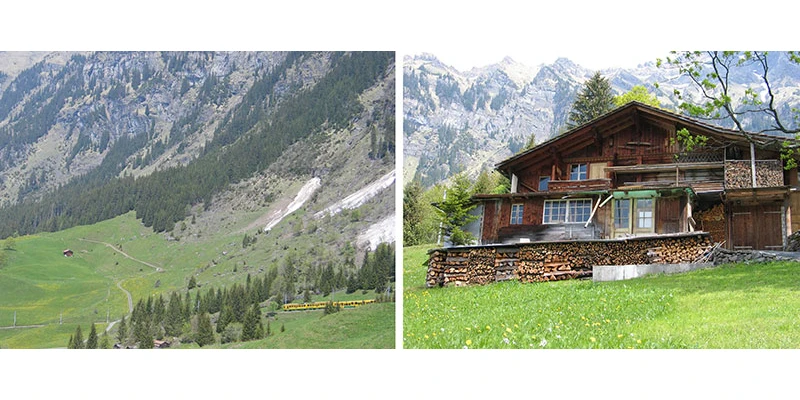 Wengen hike down 2up(8)
