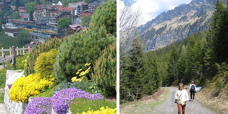 Wengen hike down2up (7)