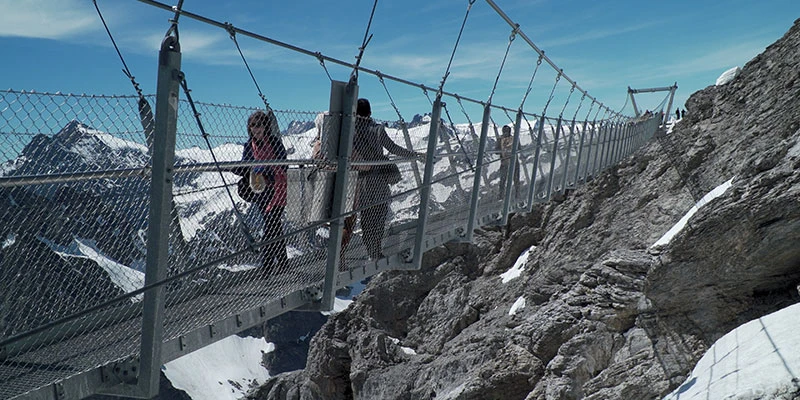 Suspension bridge