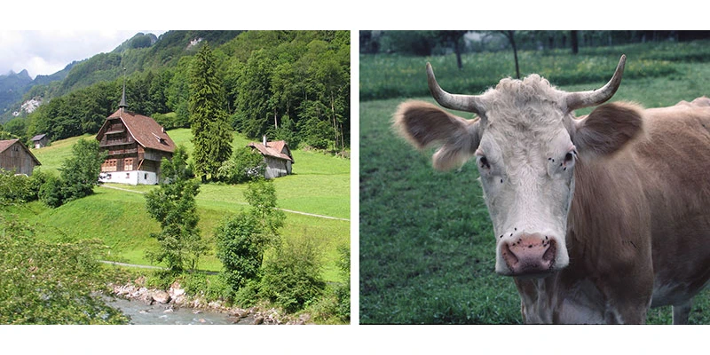 Swiss villages