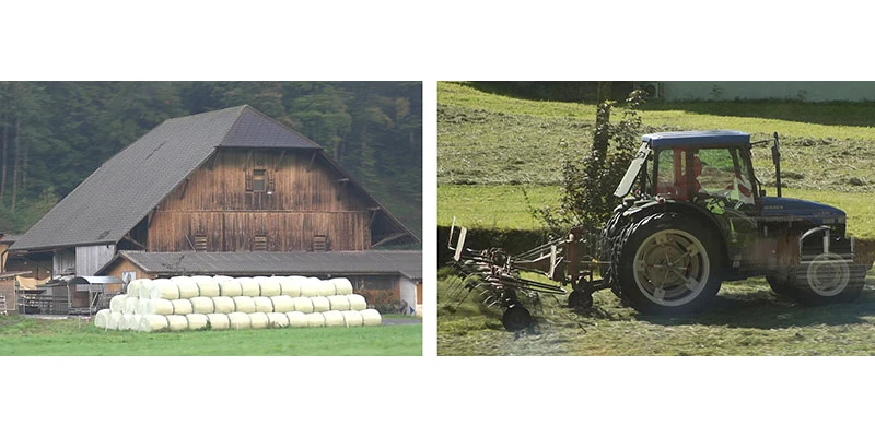 Green pastures