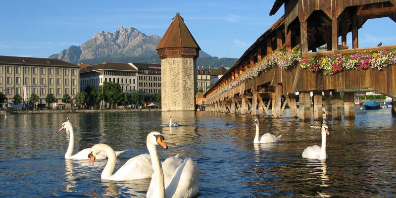 Lucerne bridges