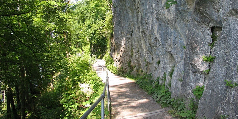 Burgenstock