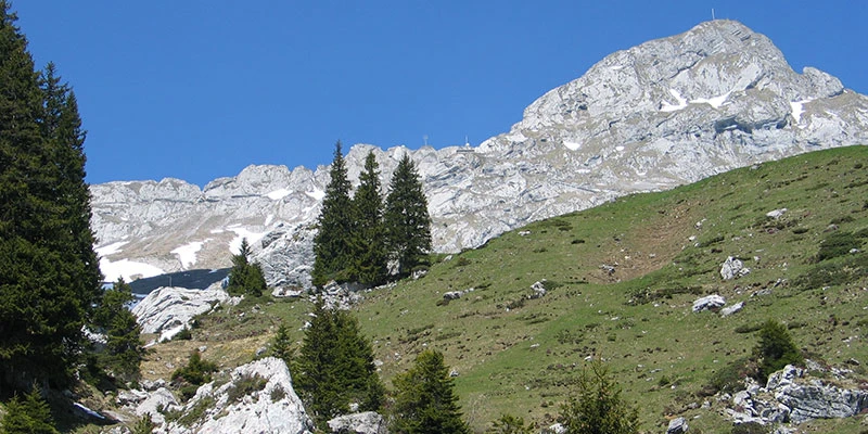 Pilatus