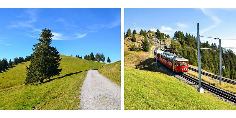 Rigi panorama