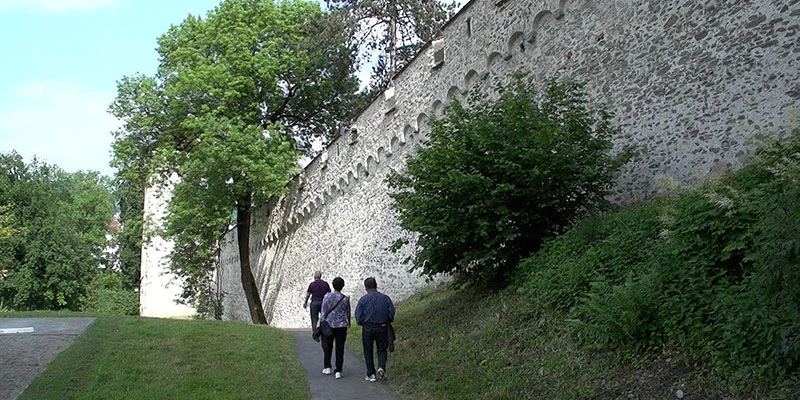 Medieval wall