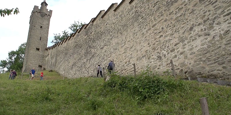 Wall view