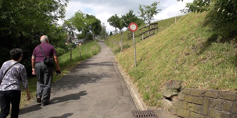 Lucerne wall