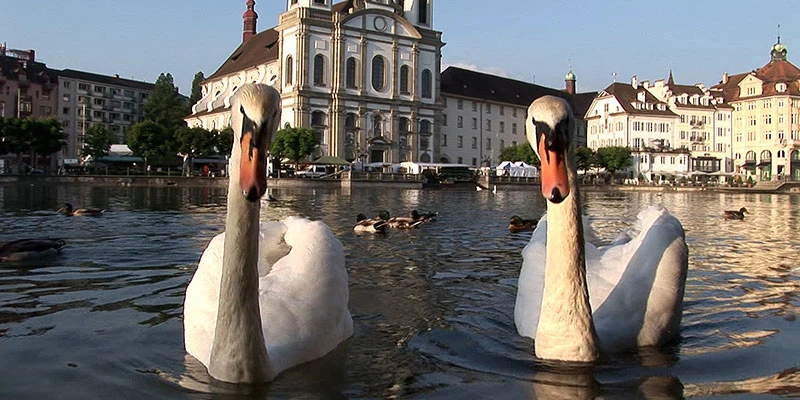 Lucerne waterfront