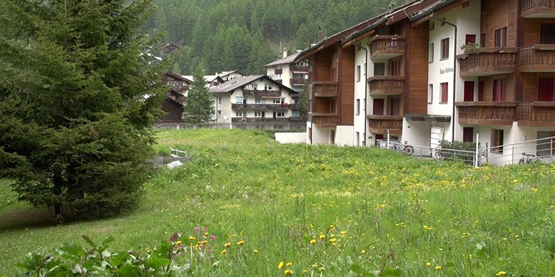 Sunnegga south (44)
