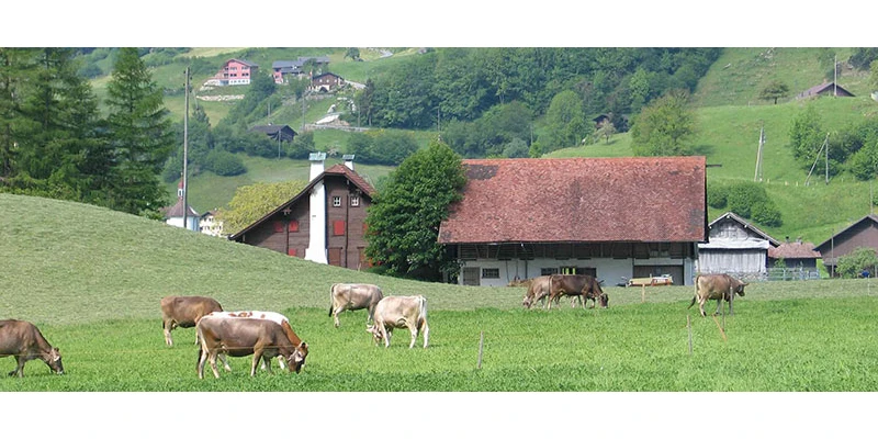 Interlaken (54)