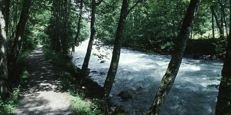 Laut valley (4)