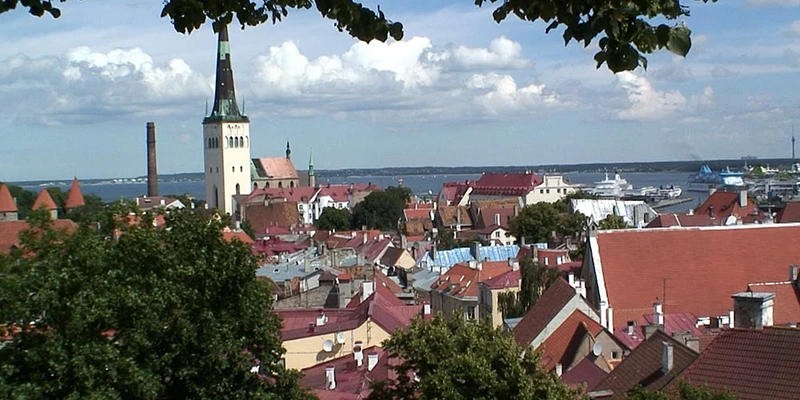 Viewpoint