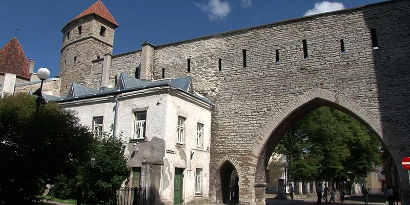 Wall Walk