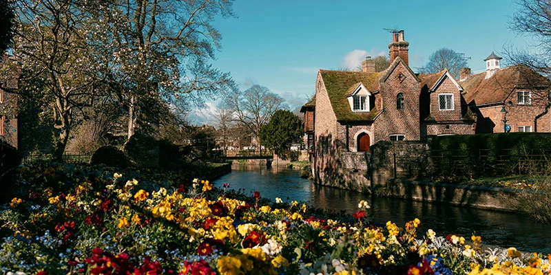 Canterbury pixun (19)