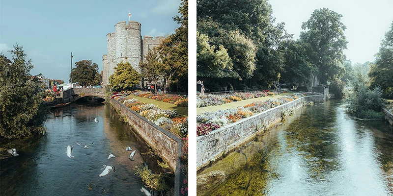 Canterbury pixun (29)