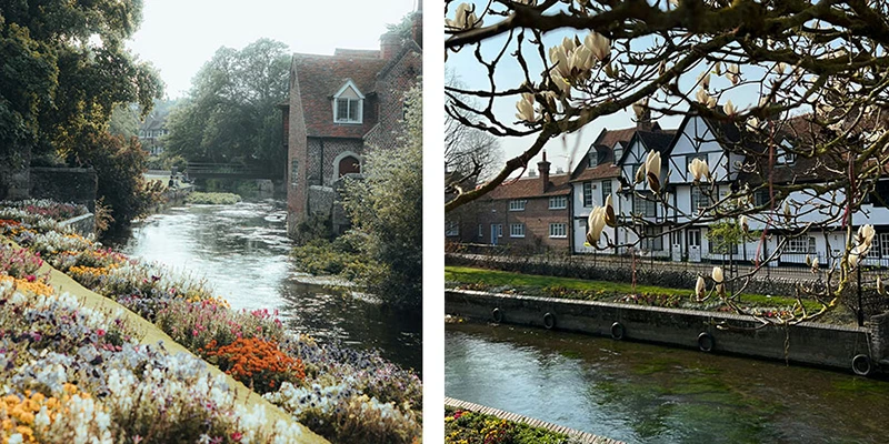 Canterbury pixun (3)