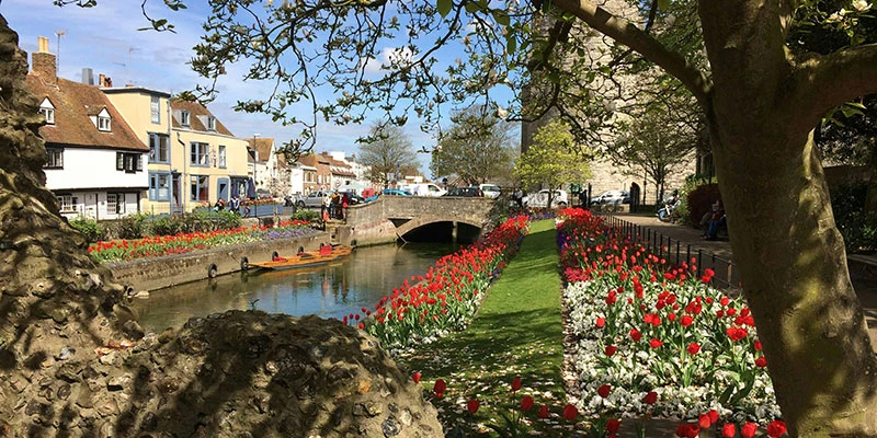 Canterbury pixun