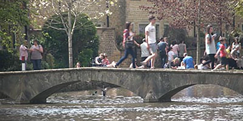 Cotswolds