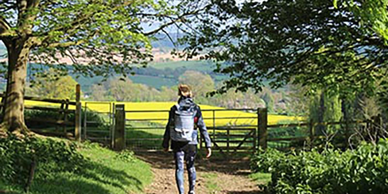 Cotswolds spring